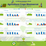 Agriculture Crops